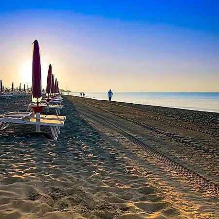 Adriatico بيبيوني